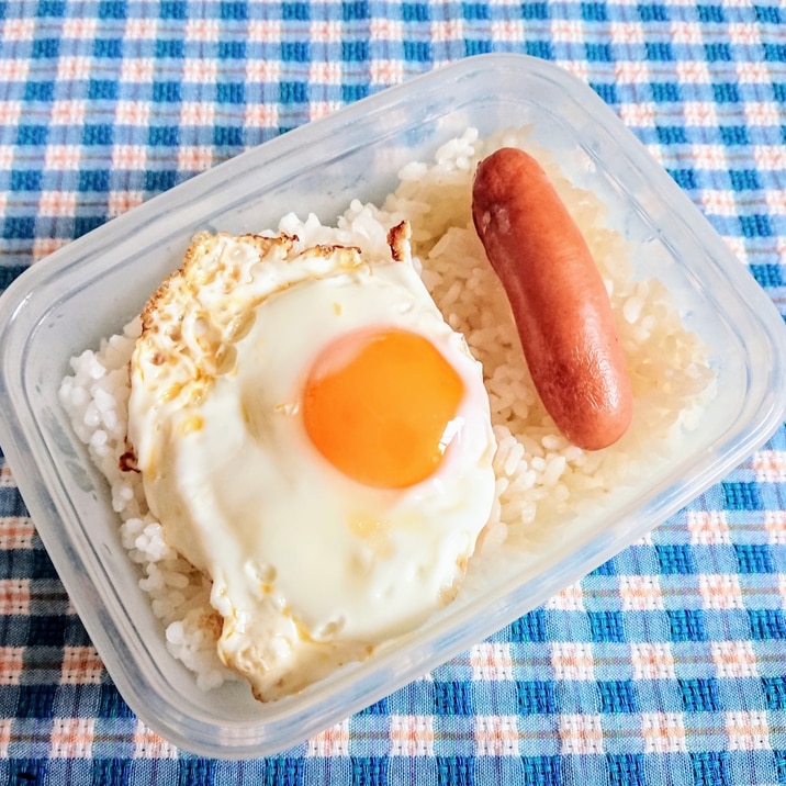 目玉焼きとウインナーのタッパ飯